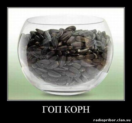 новые смешные демотиваторы