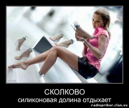 новые смешные демотиваторы