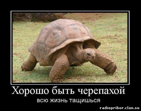очень смешно смотреть