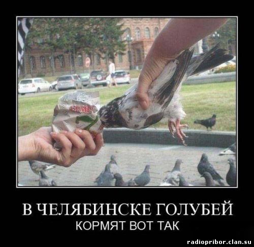 ржачный демотиватор