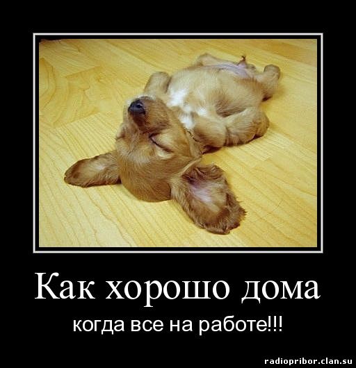 смешныедемотиваторы на рабио прибор