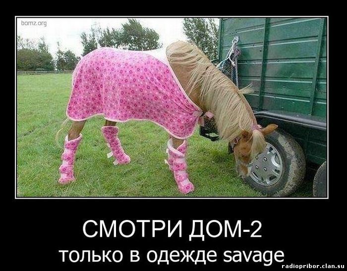 новые смешные демотиваторы