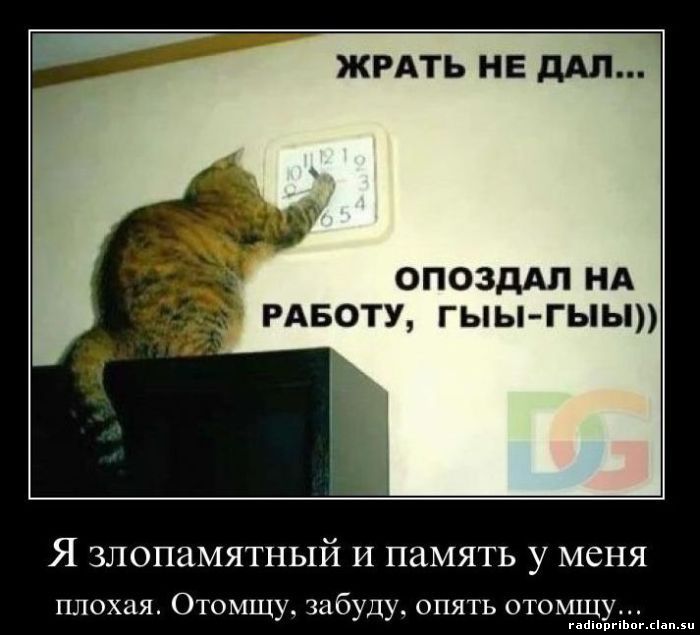 новые смешные демотиваторы