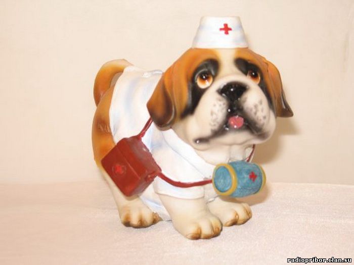 собака врач