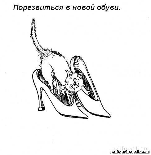 кошка