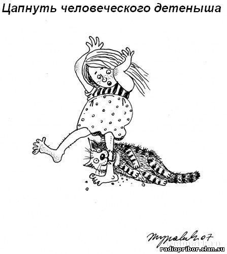 кошка