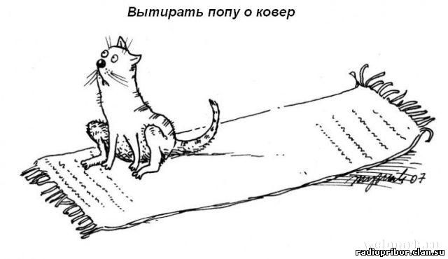 кошка