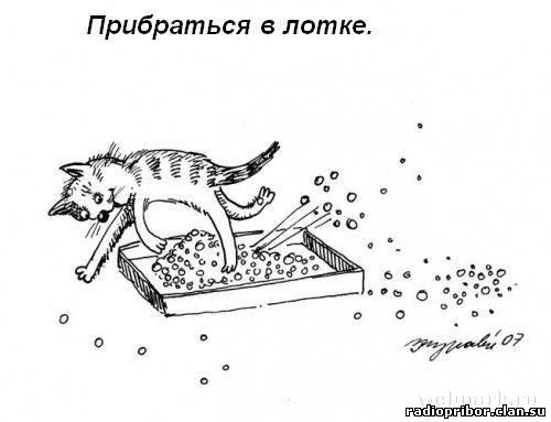 кошка