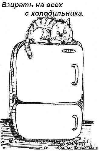 кошка