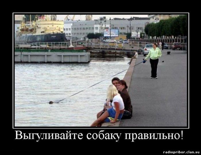 демотиватор