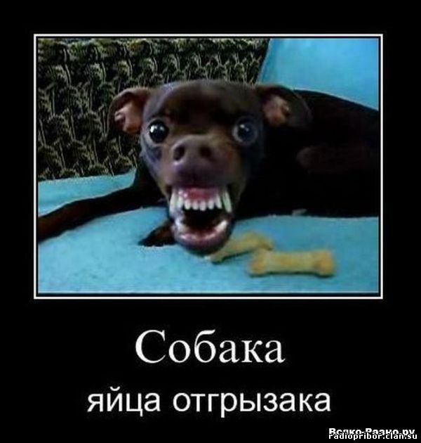 смешные демотиваторы