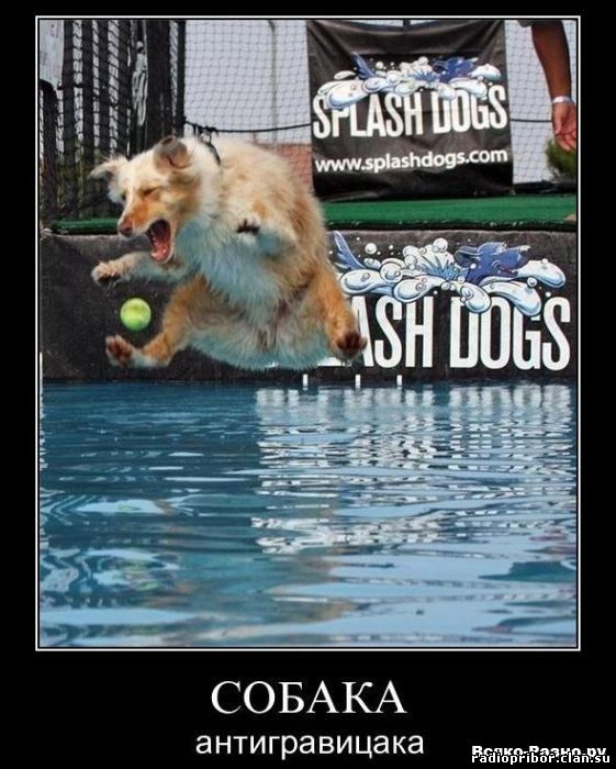 смешные демотиваторы