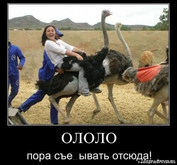 смешные демотиваторы