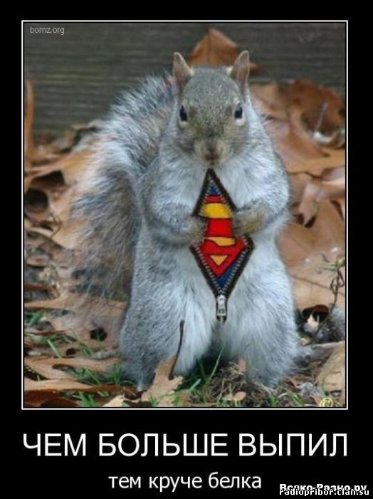 смешные демотиваторы