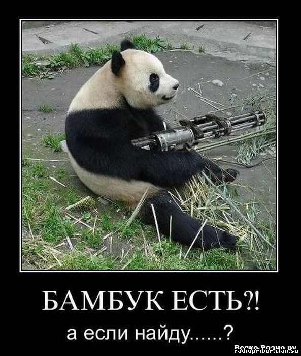 смешные демотиваторы