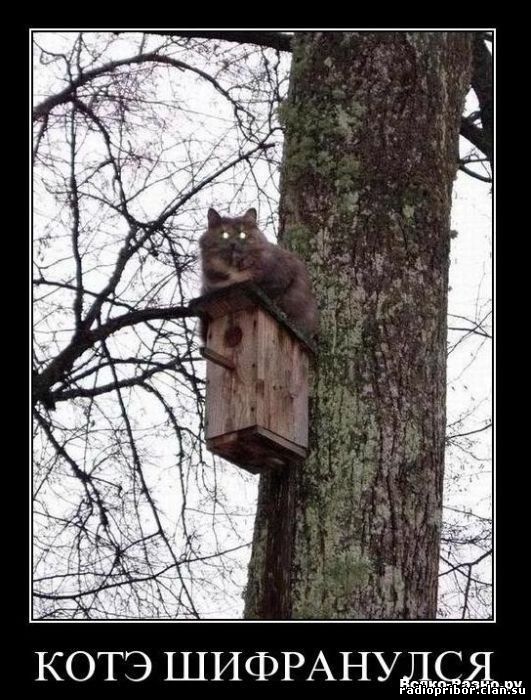 смешные демотиваторы