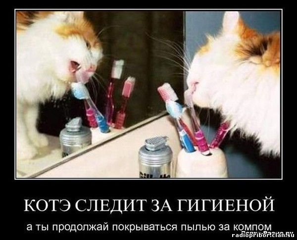 смешные демотиваторы