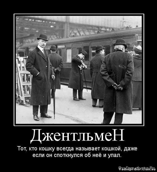 демотиватор