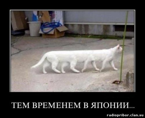 демотиватор ржач