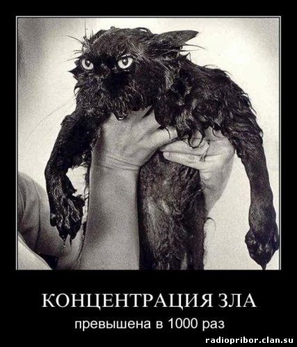 демотиватор ржач