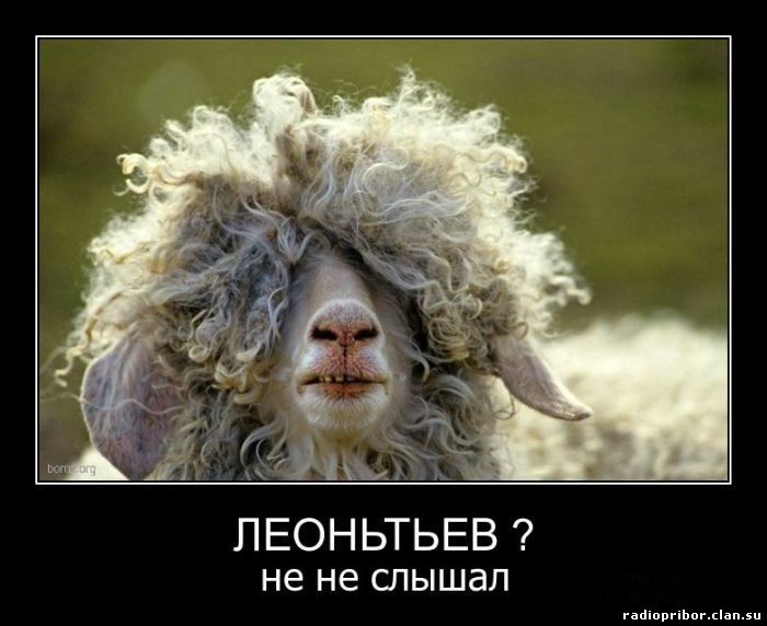 демотиватор ржач