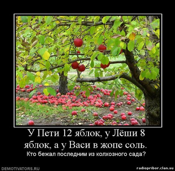 самые смешные картинки