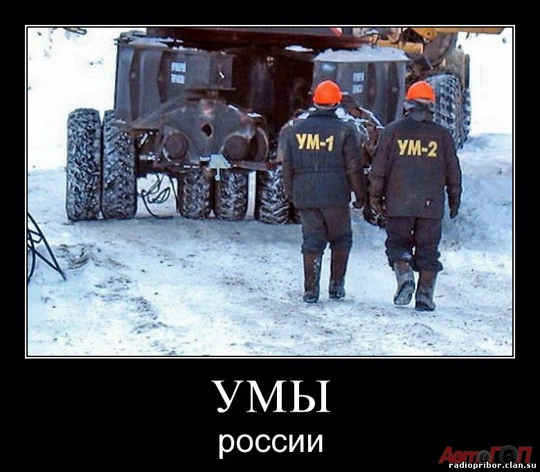 самые смешные картинки