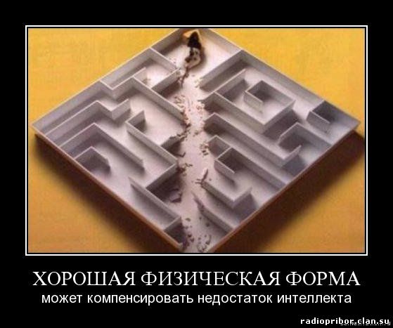 самые смешные картинки