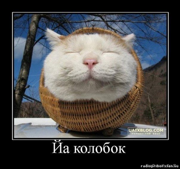 самый-смешной-демотиватор