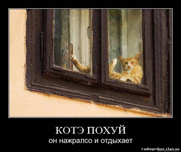 самый-смешной-демотиватор