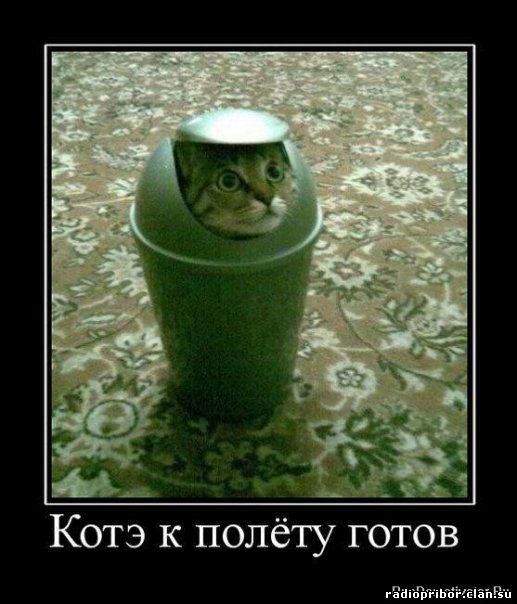 самый-смешной-демотиватор