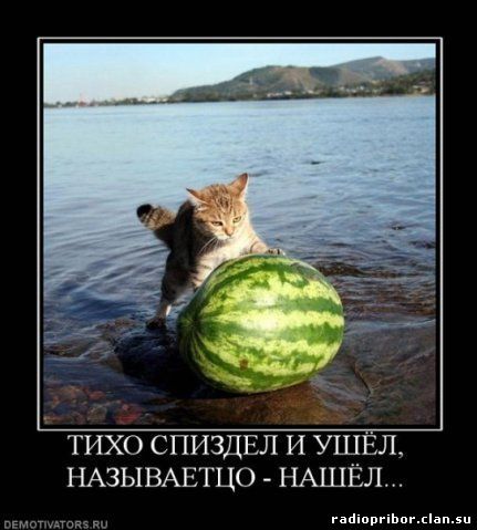 самый-смешной-демотиватор