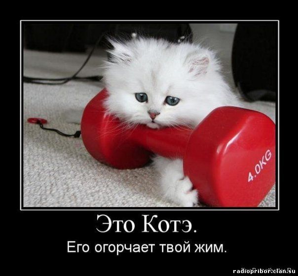 самый-смешной-демотиватор