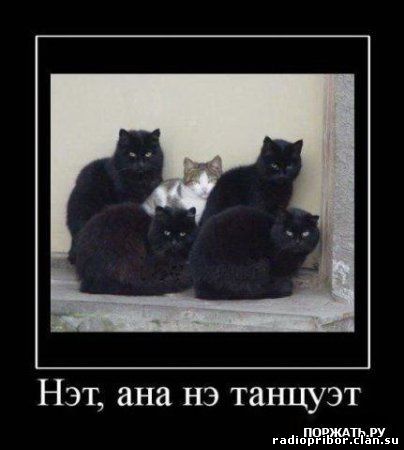 самый-смешной-демотиватор
