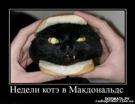 самый-смешной-демотиватор