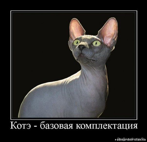 самый-смешной-демотиватор