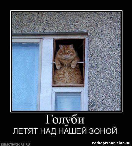 самый-смешной-демотиватор