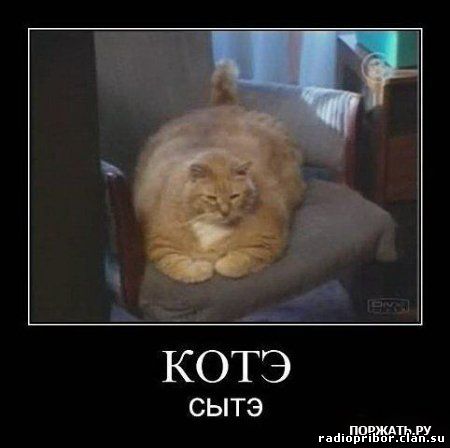 самый-смешной-демотиватор