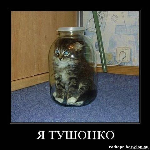 самый-смешной-демотиватор