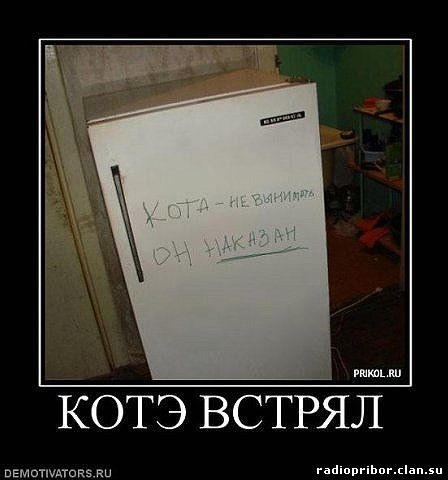 самый-смешной-демотиватор