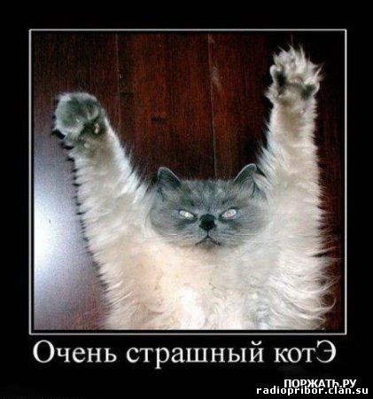 самый-смешной-демотиватор