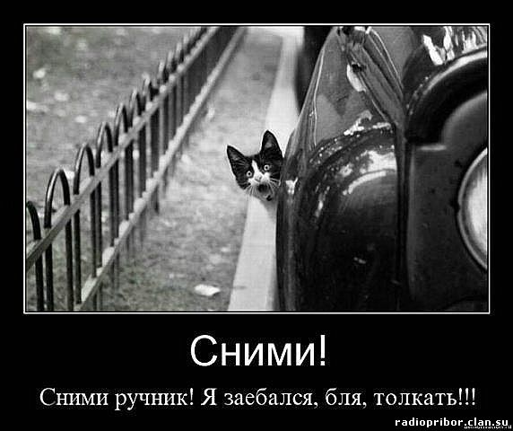 самый-смешной-демотиватор