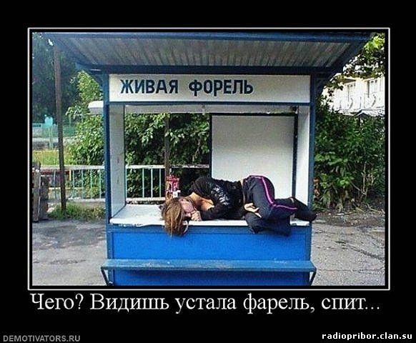 самый-смешной-демотиватор