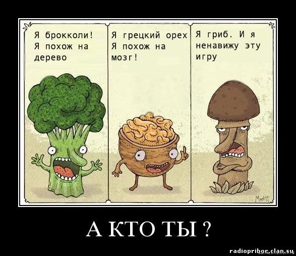 самый-смешной-демотиватор