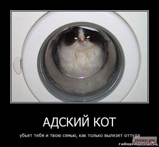 самый-смешной-демотиватор