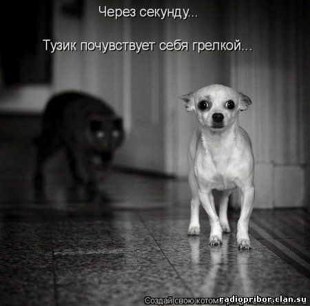 радио прибор