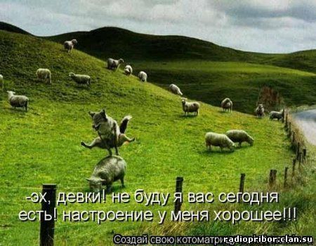 радио прибор