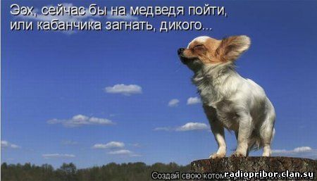 радио прибор