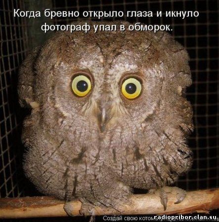 радио прибор