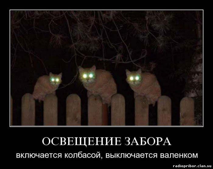 демотиватор